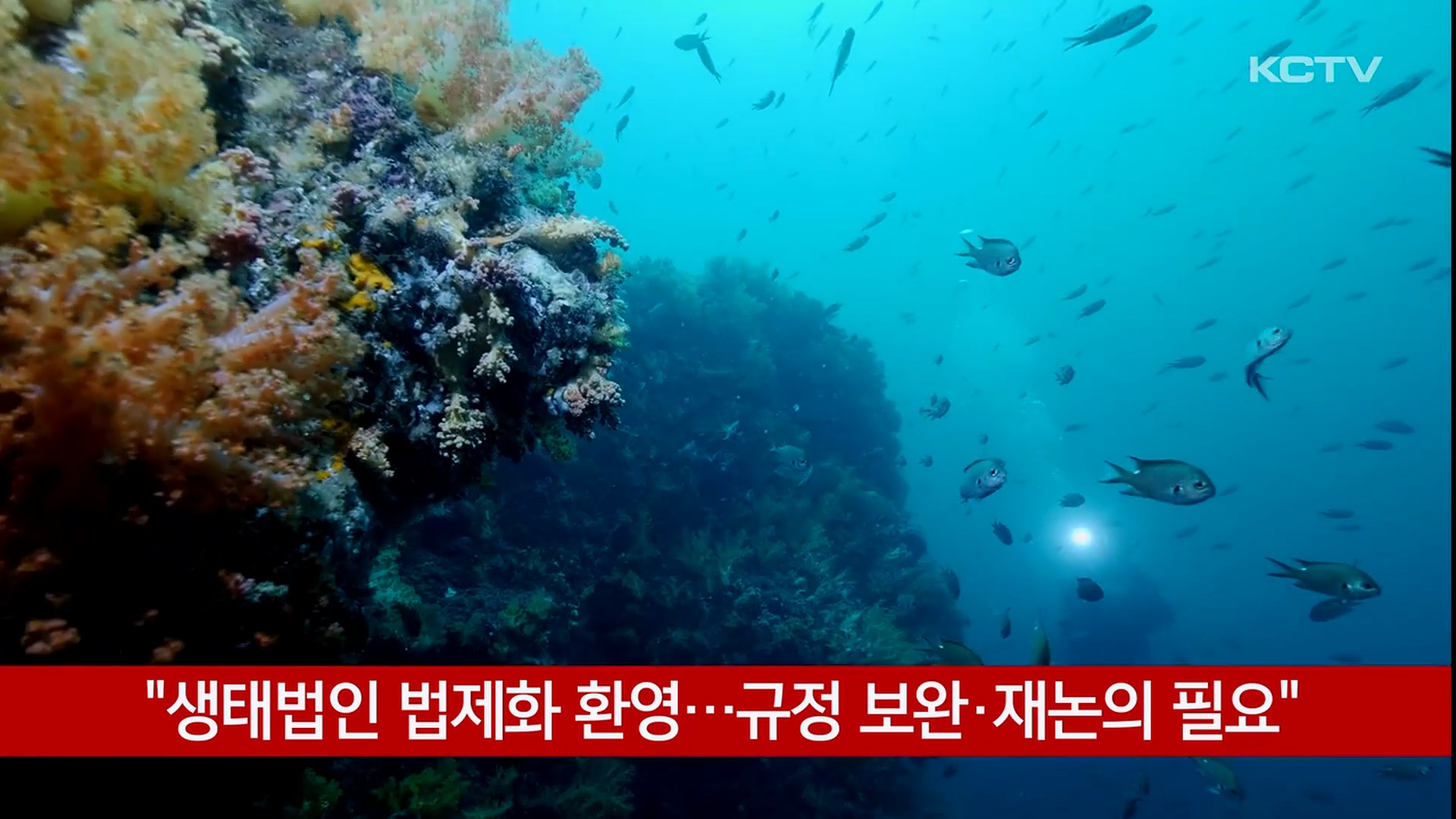 KCTV News7