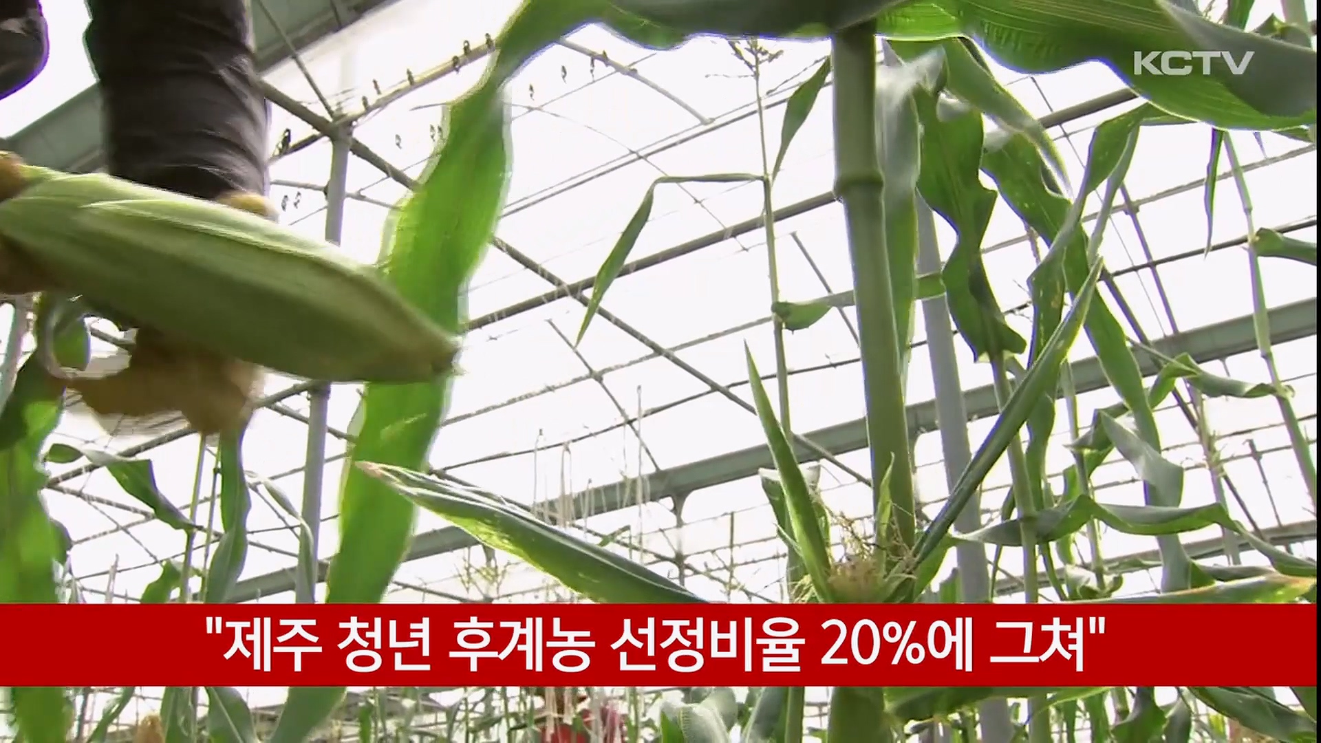 KCTV News7