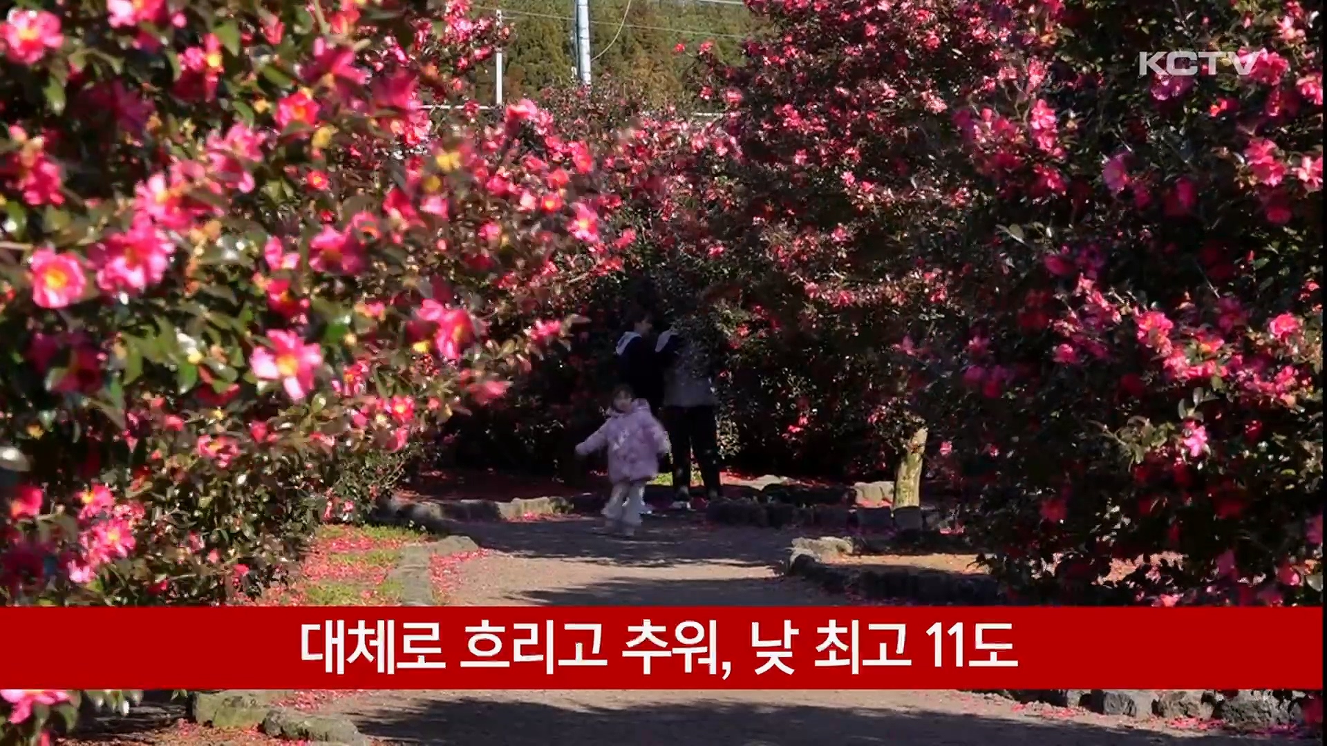 KCTV News7