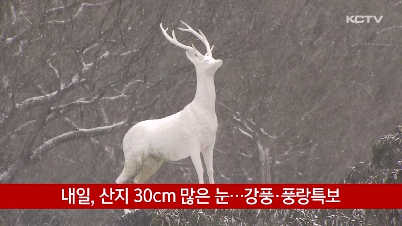 KCTV News7