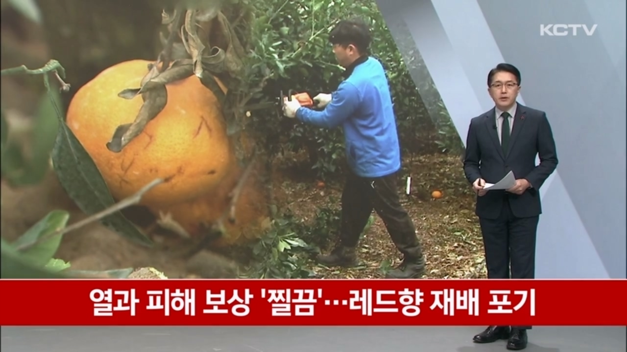 KCTV News7