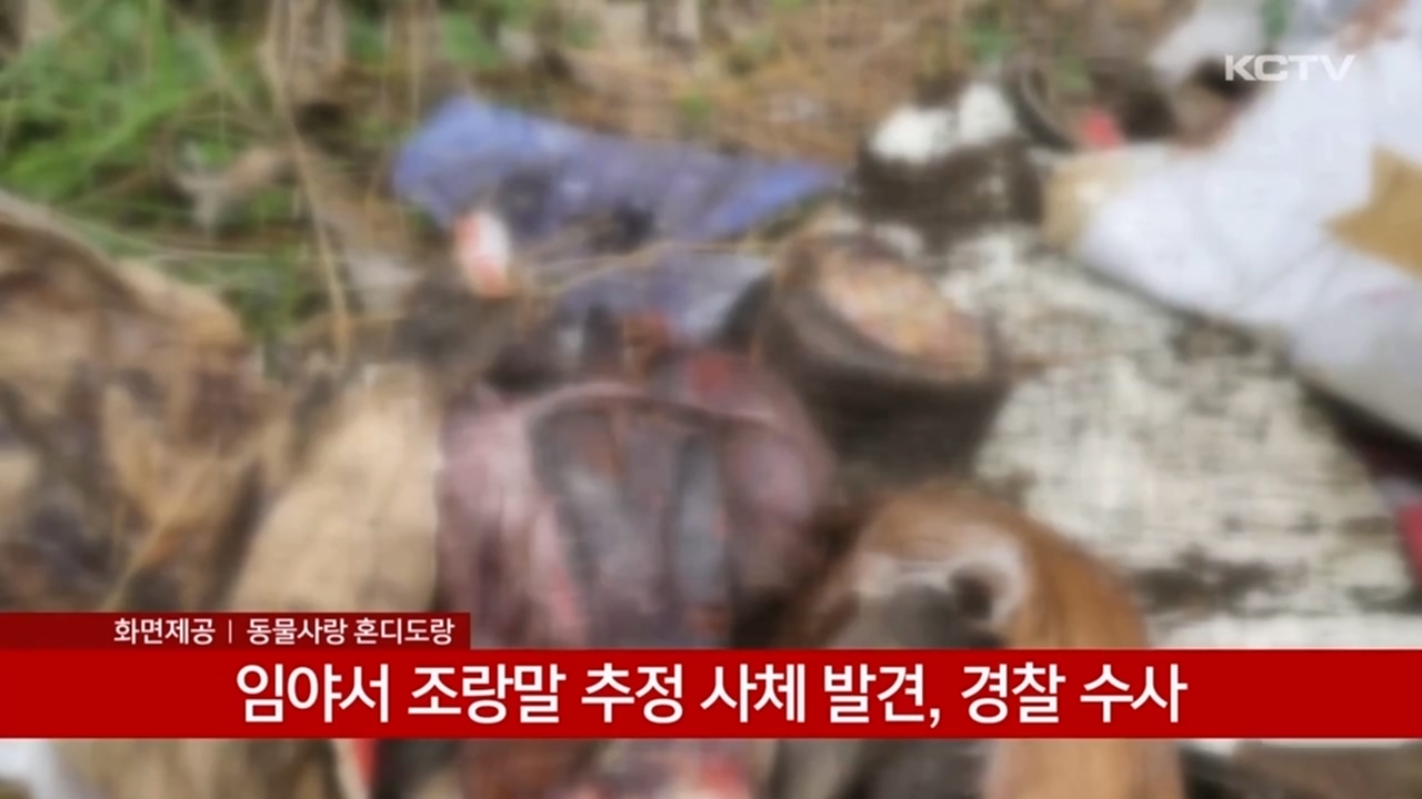 KCTV News7
