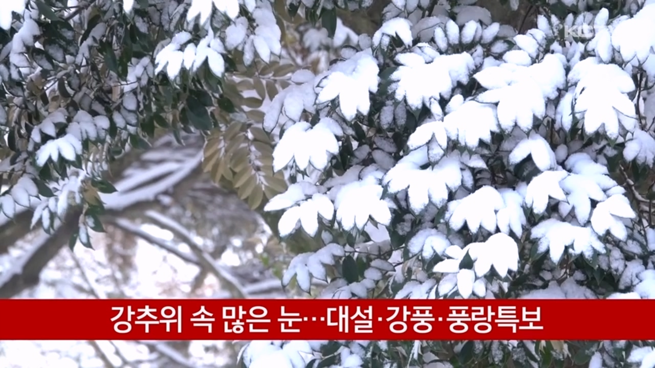 KCTV News7
