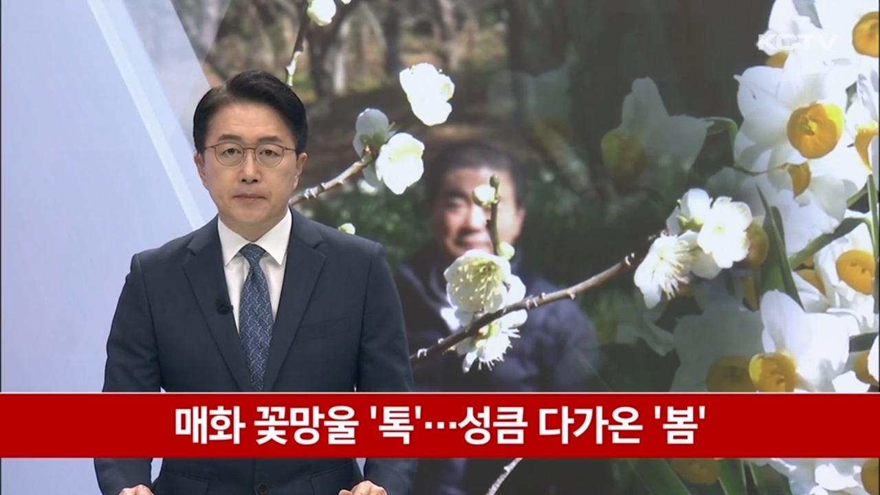 KCTV News7