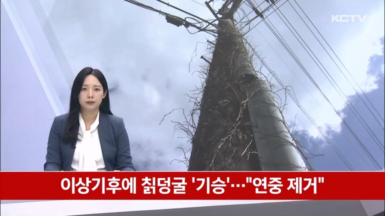 KCTV News7