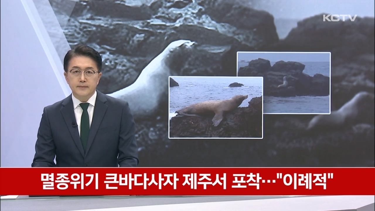 KCTV News7