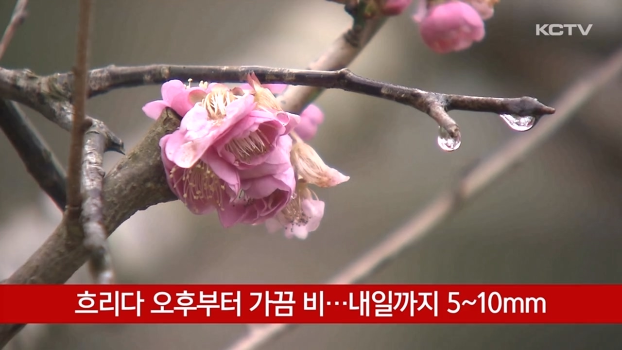 KCTV News7