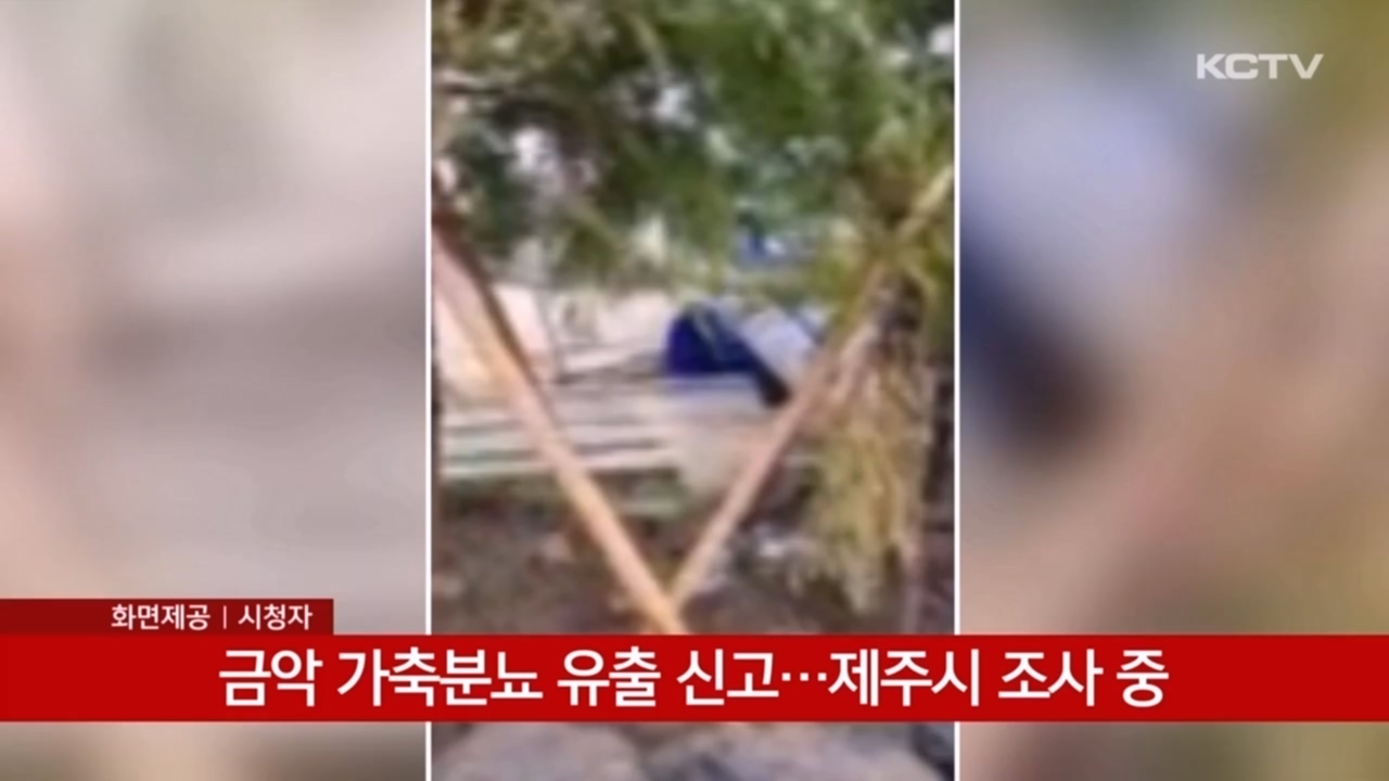 KCTV News7