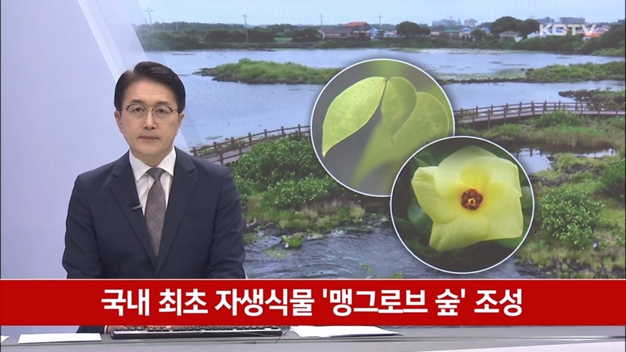 KCTV News7