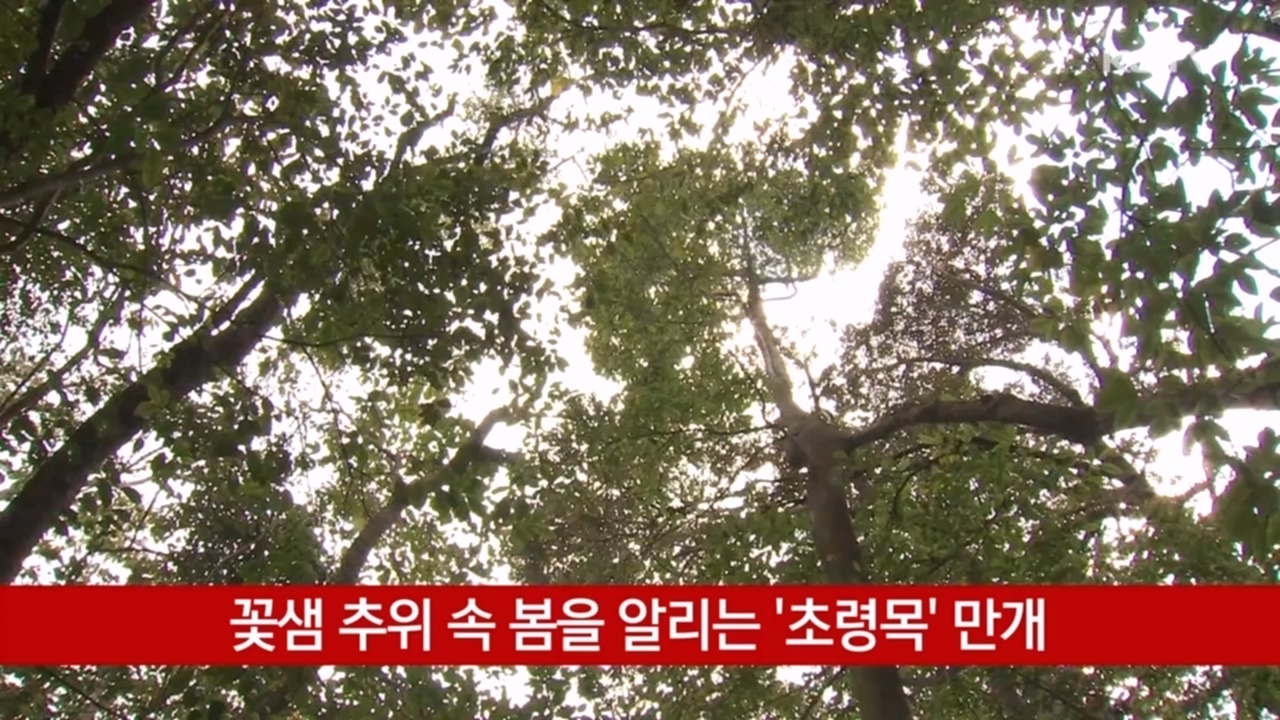 KCTV News7