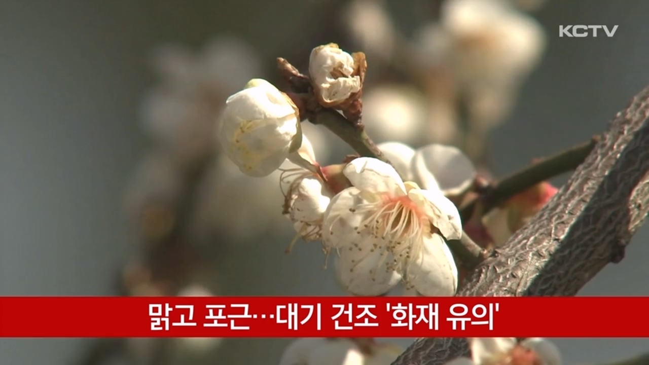 KCTV News7