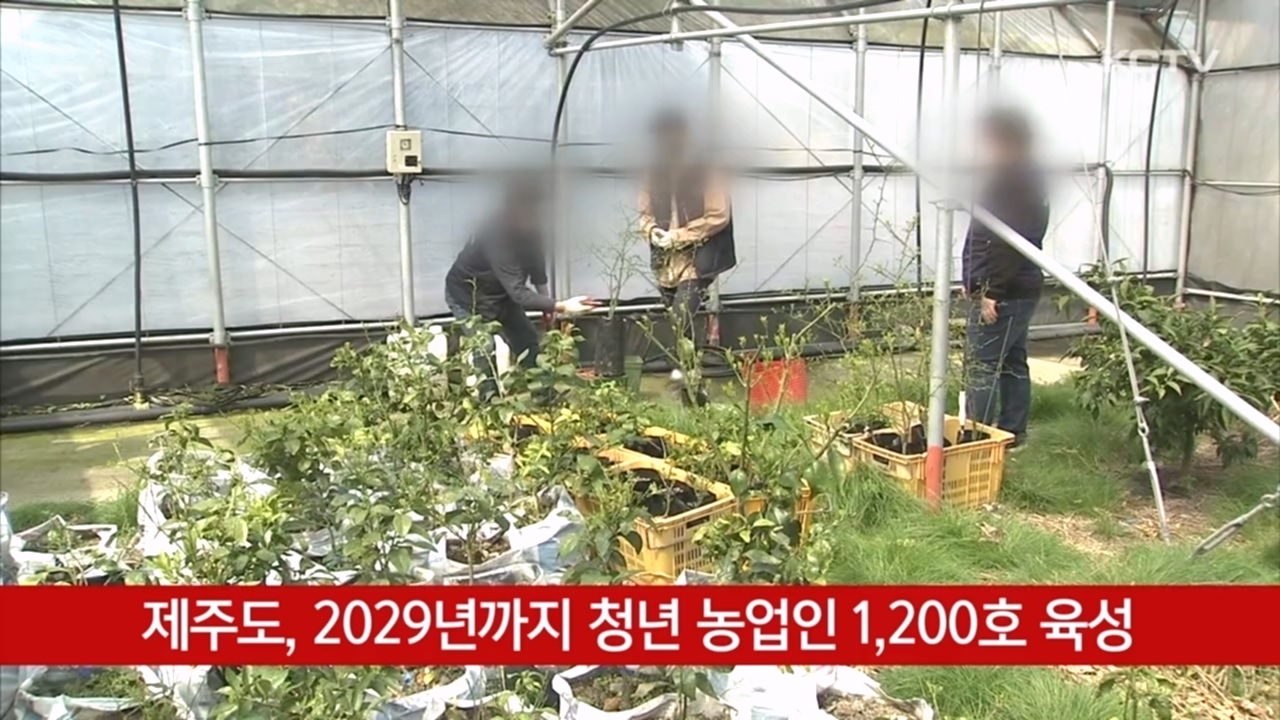 KCTV News7