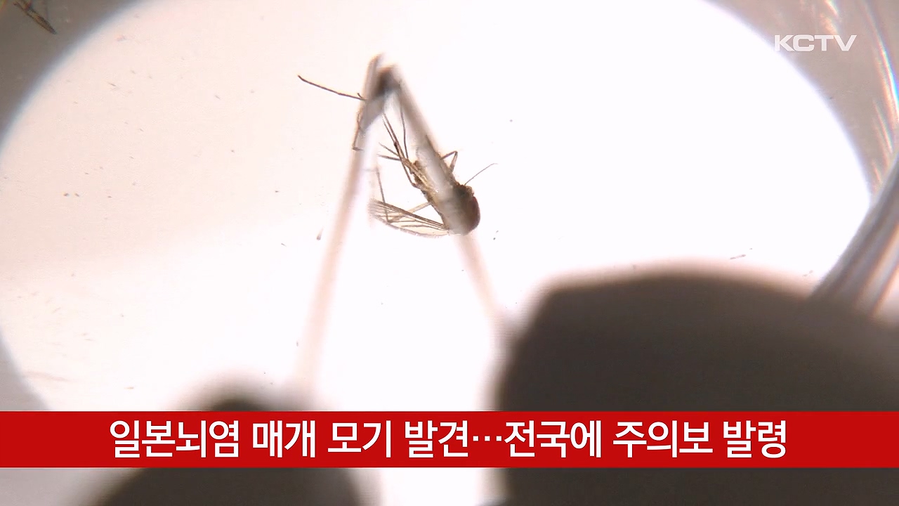 KCTV News7