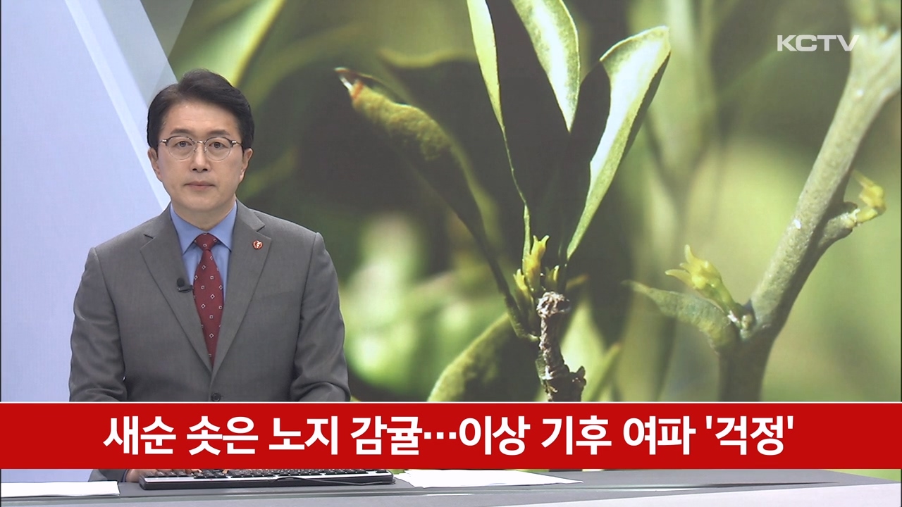 KCTV News7