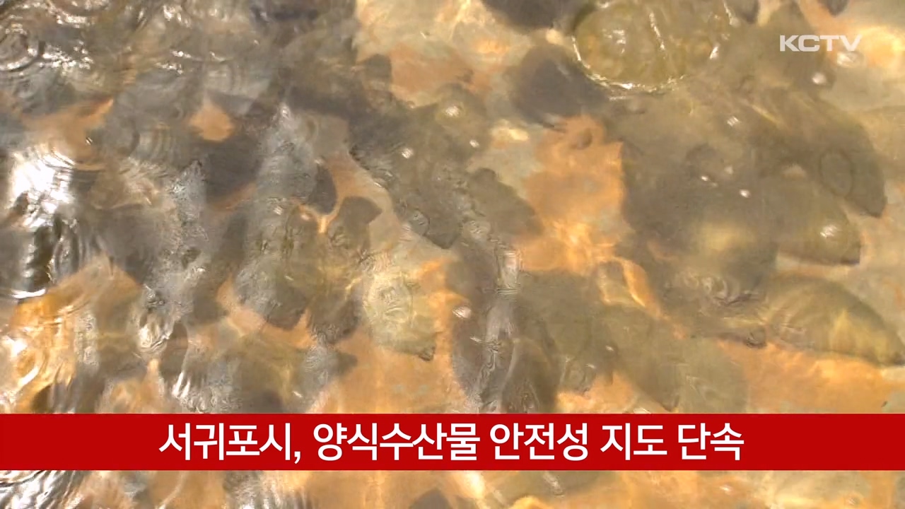 KCTV News7