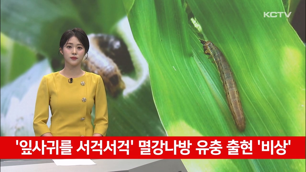 KCTV News7