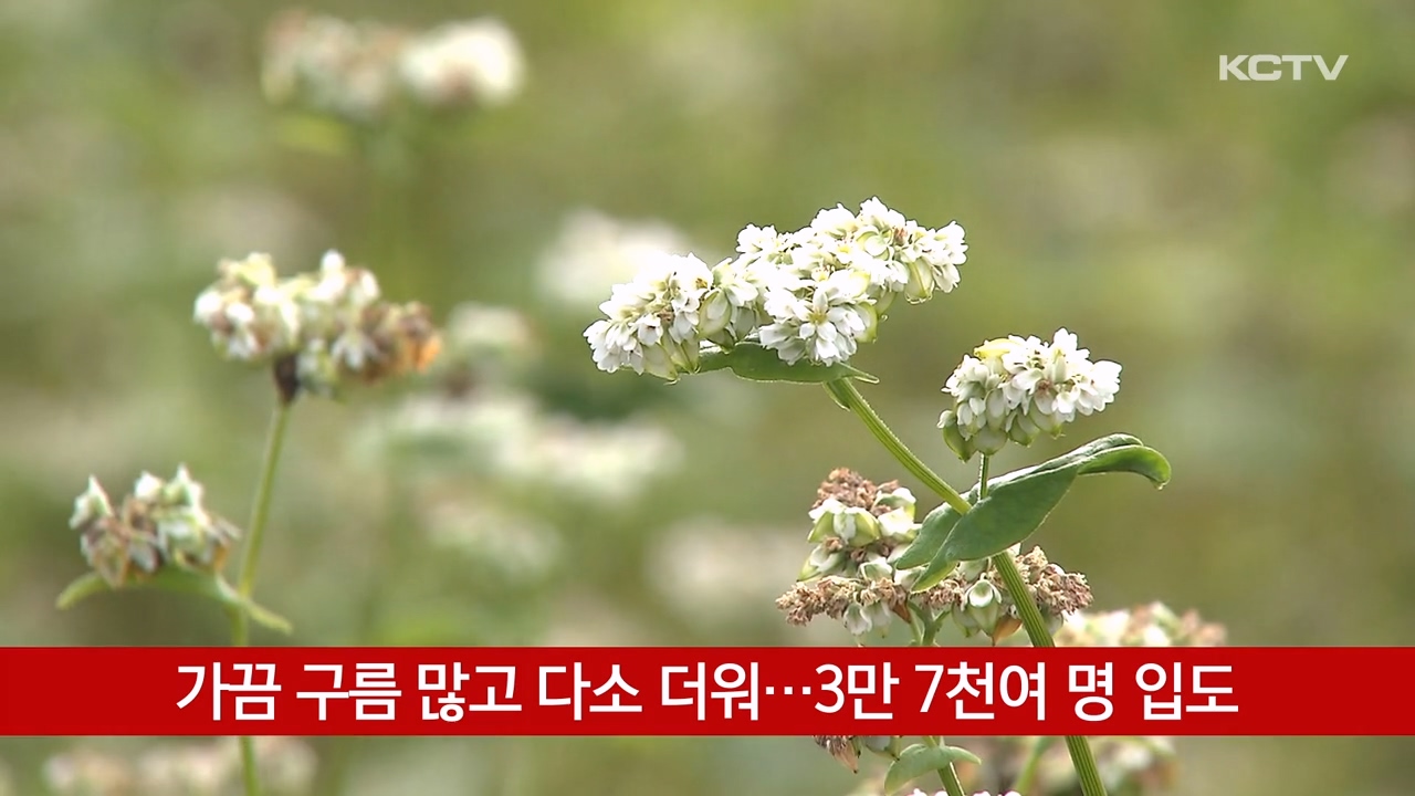 KCTV News7