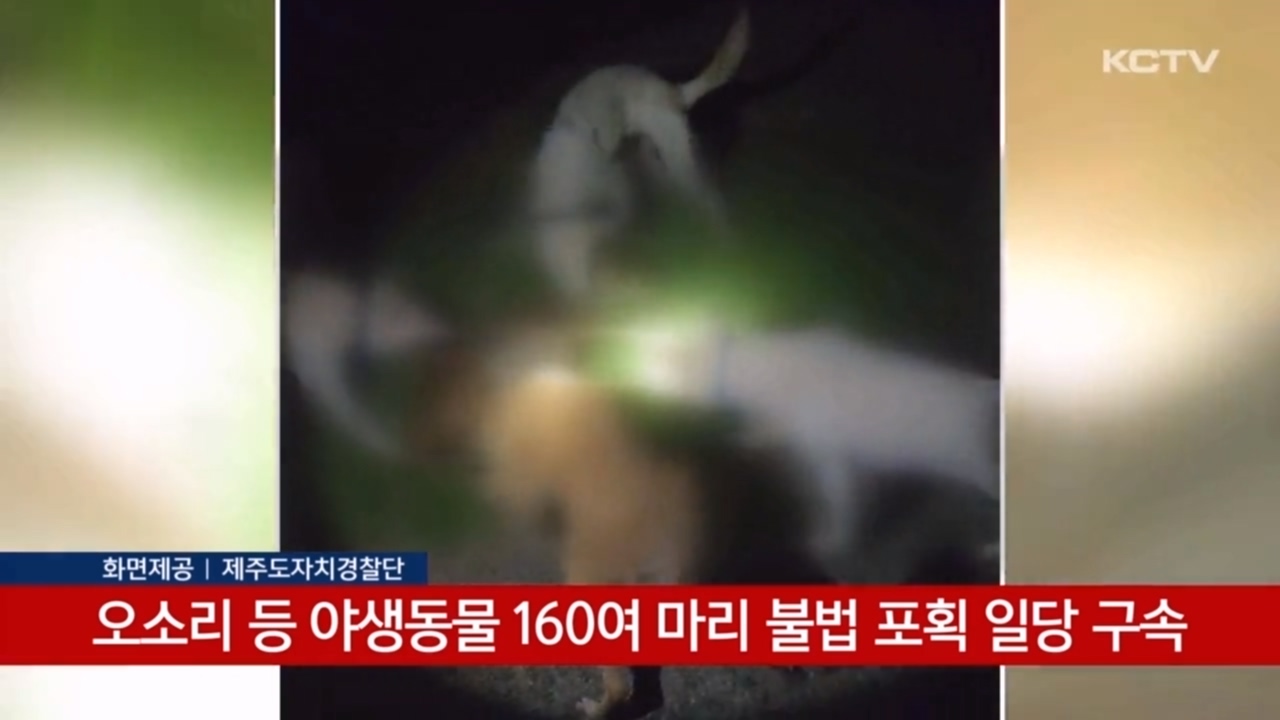 KCTV News7