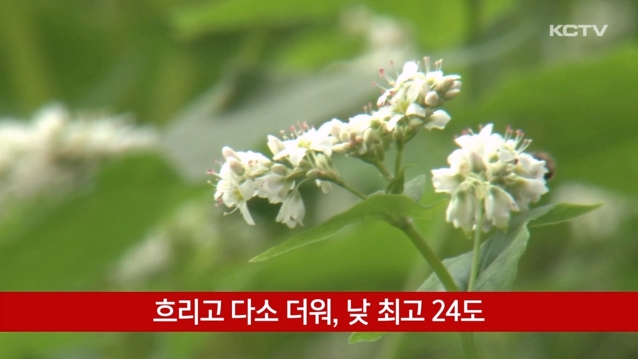 KCTV News7