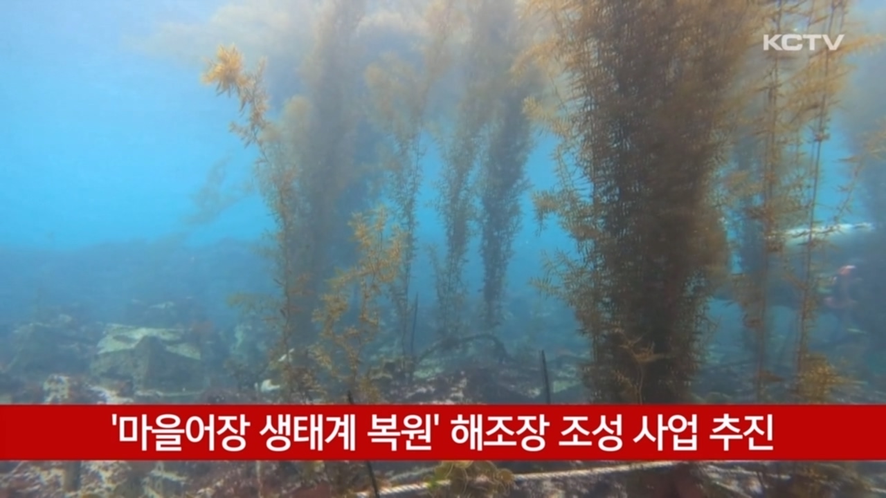 KCTV News7