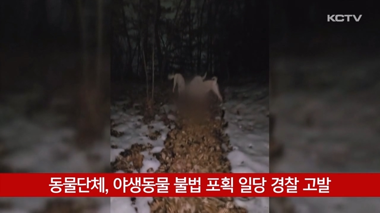 KCTV News7