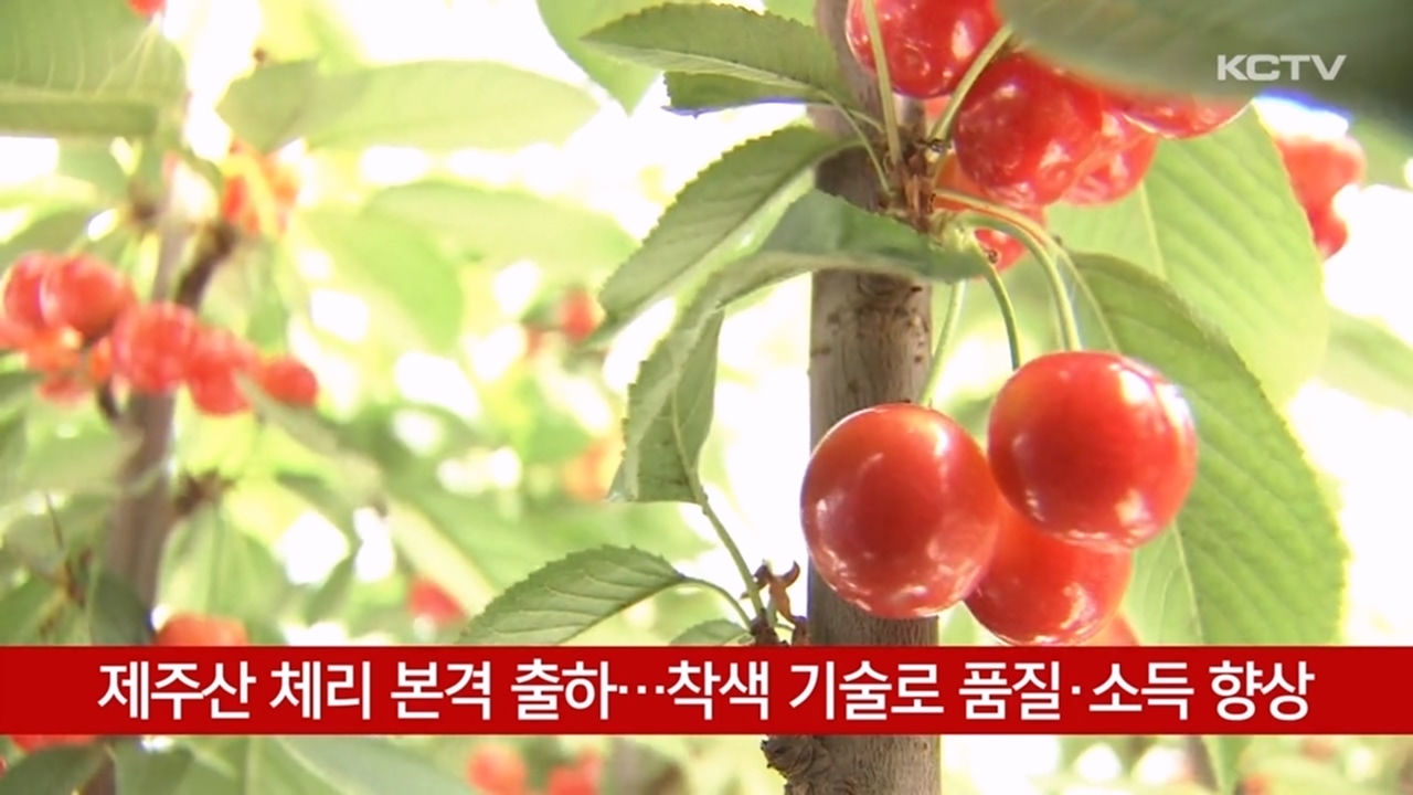 KCTV News7