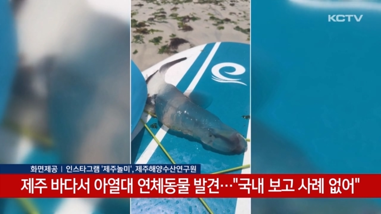 KCTV News7