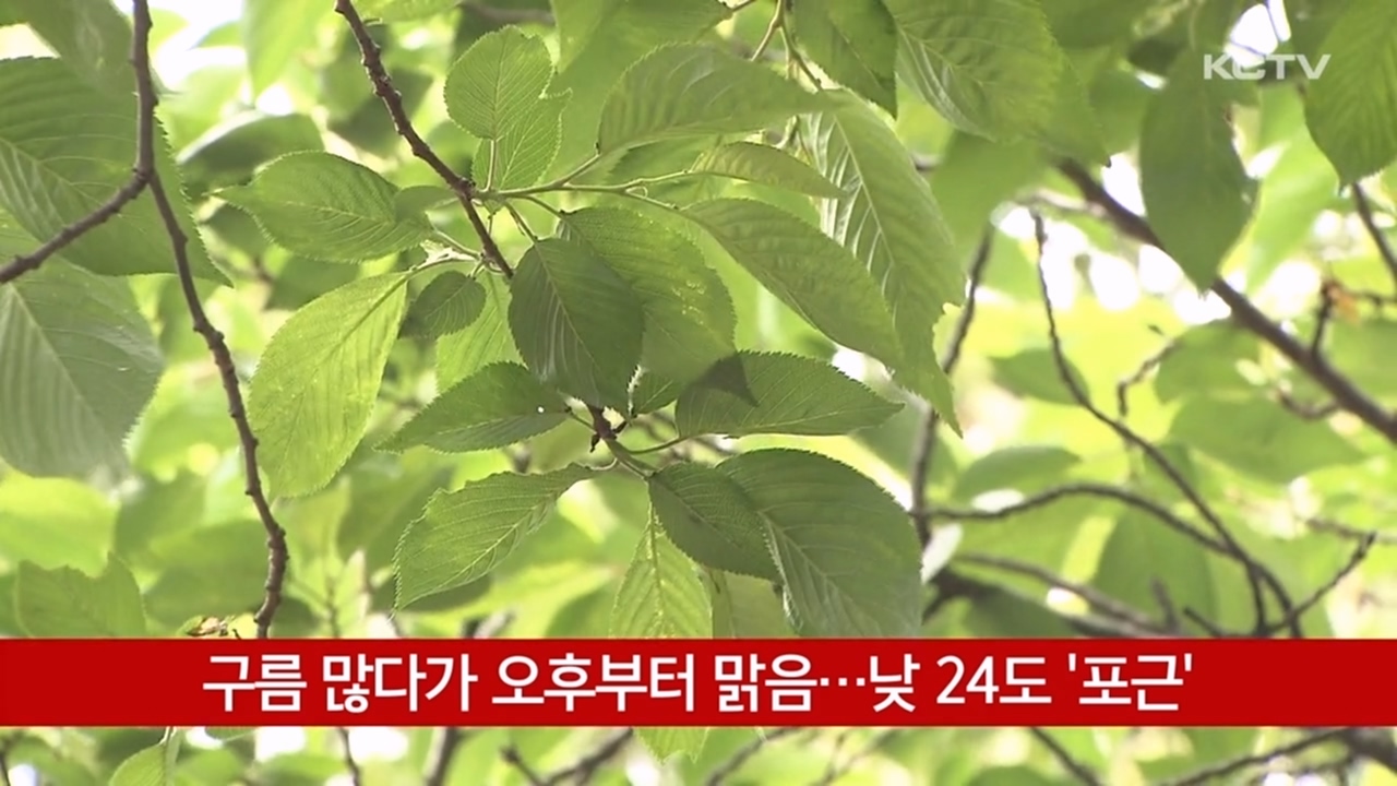 KCTV News7