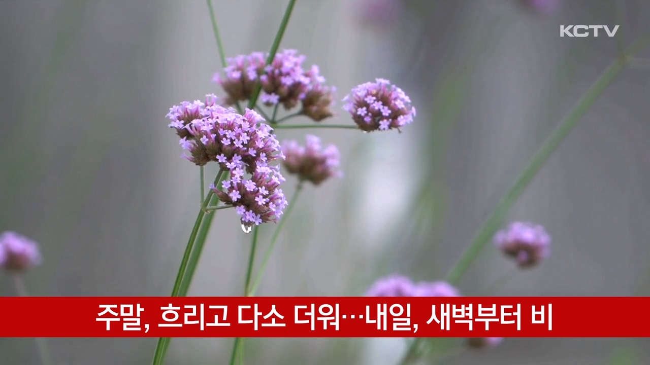 KCTV News7