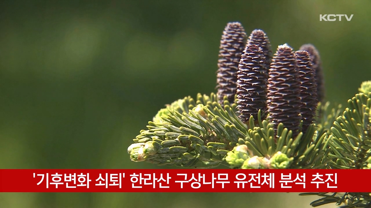 KCTV News7