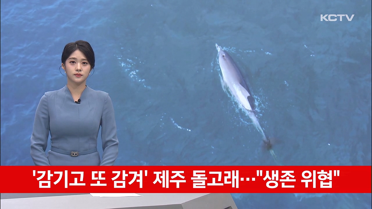 KCTV News7