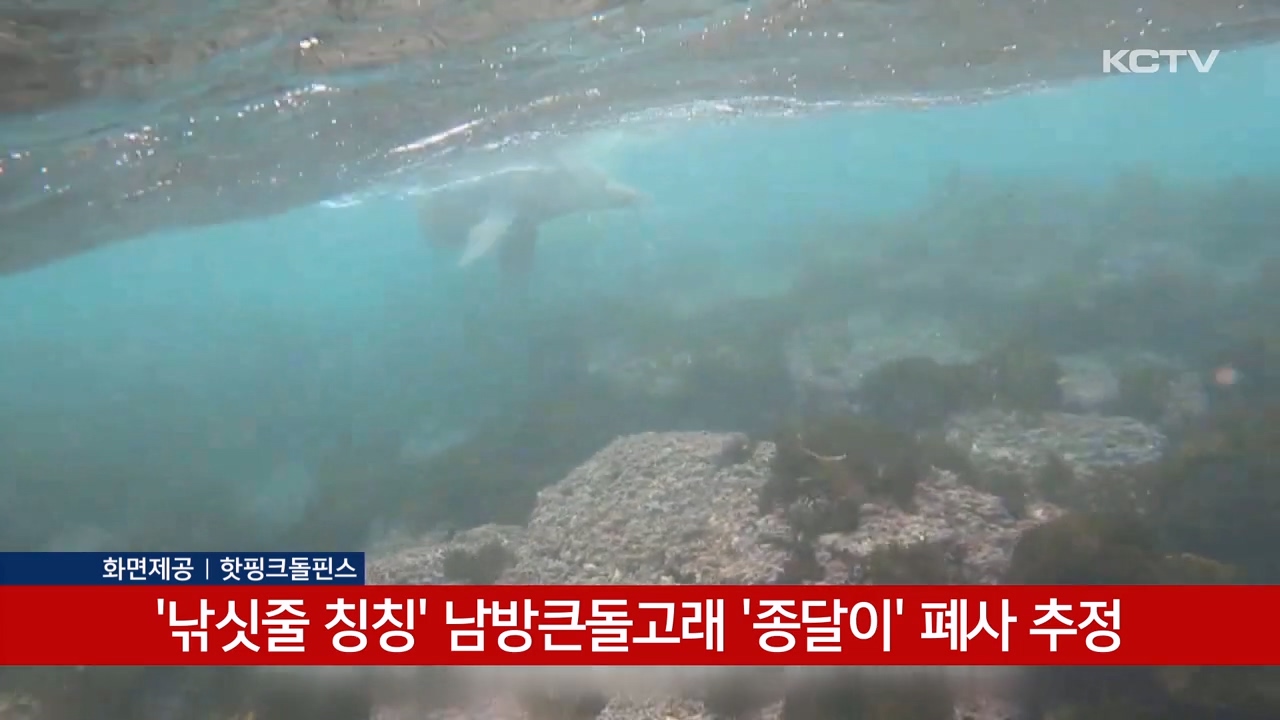 KCTV News7