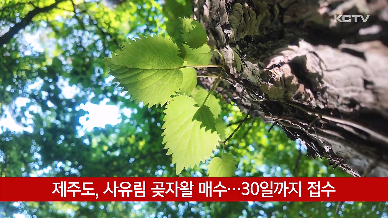 KCTV News7