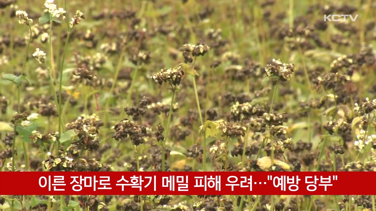 KCTV News7