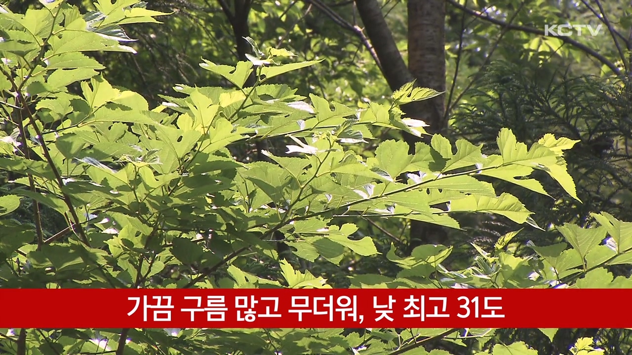 KCTV News7