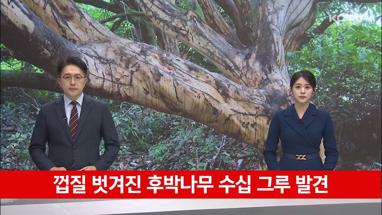 KCTV News7