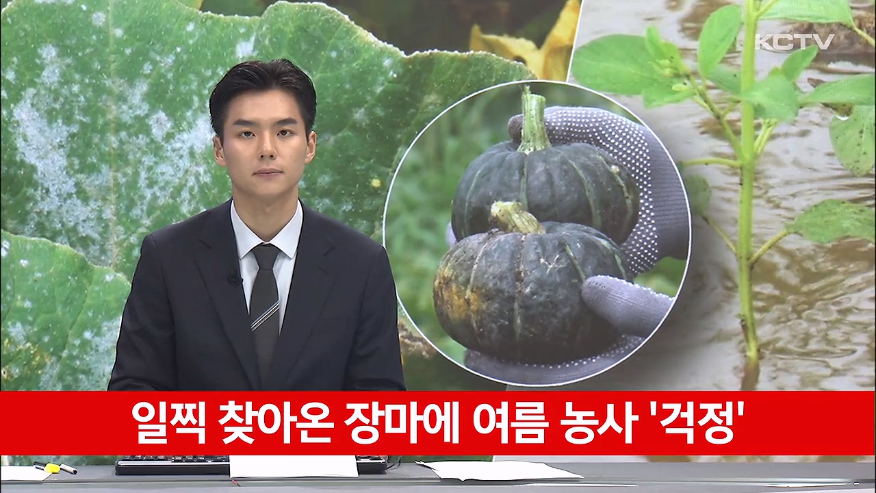 KCTV News7