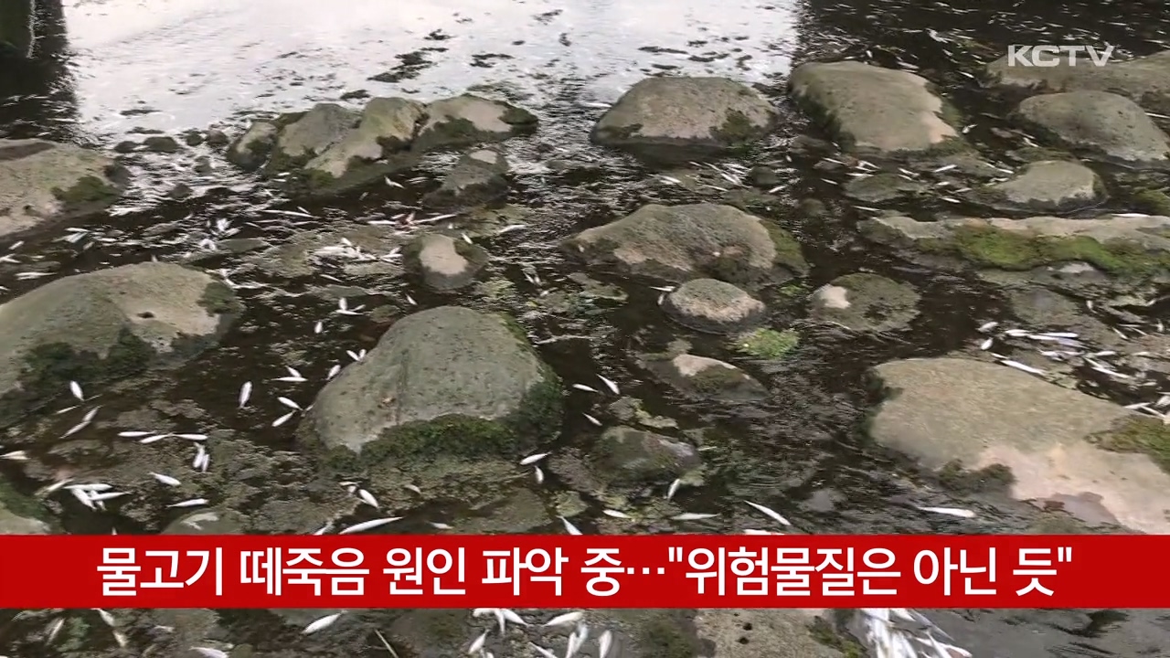 KCTV News7