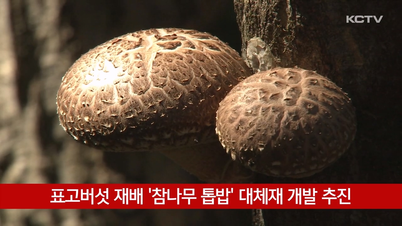 KCTV News7