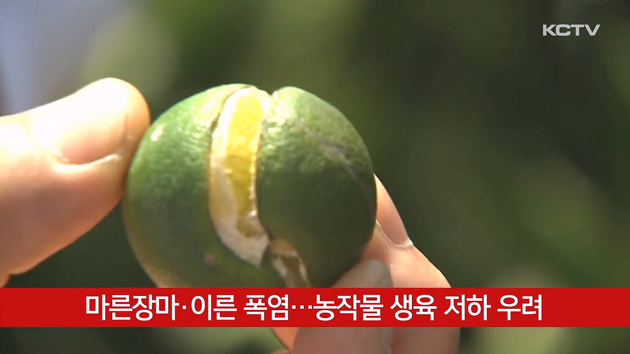 KCTV News7