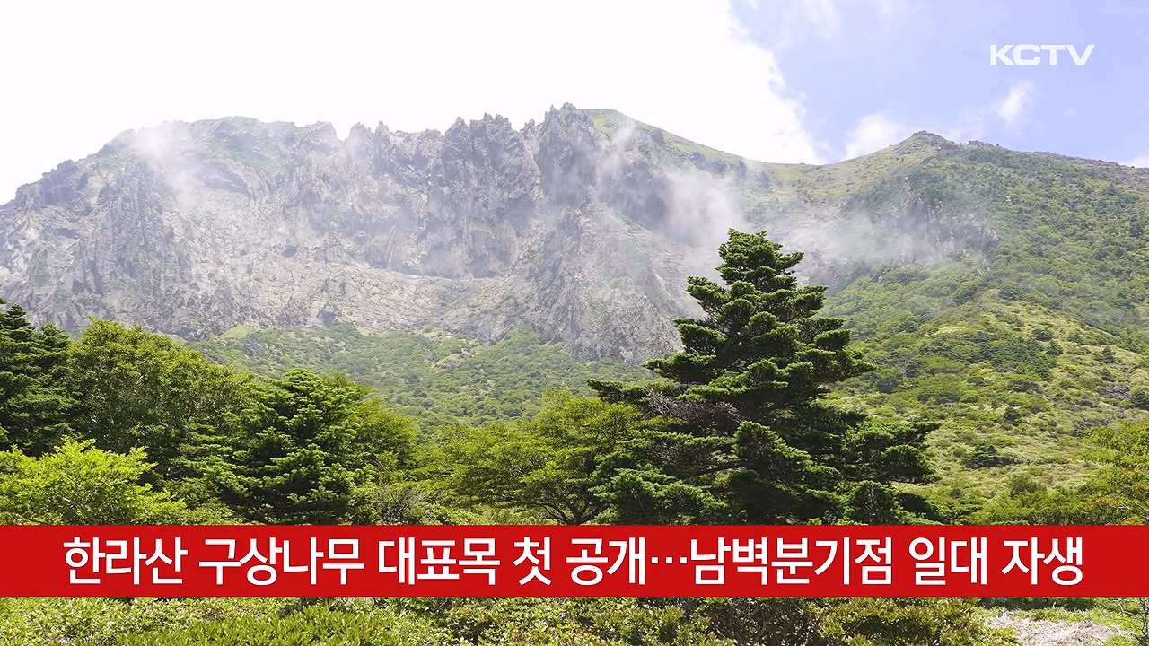 KCTV News7
