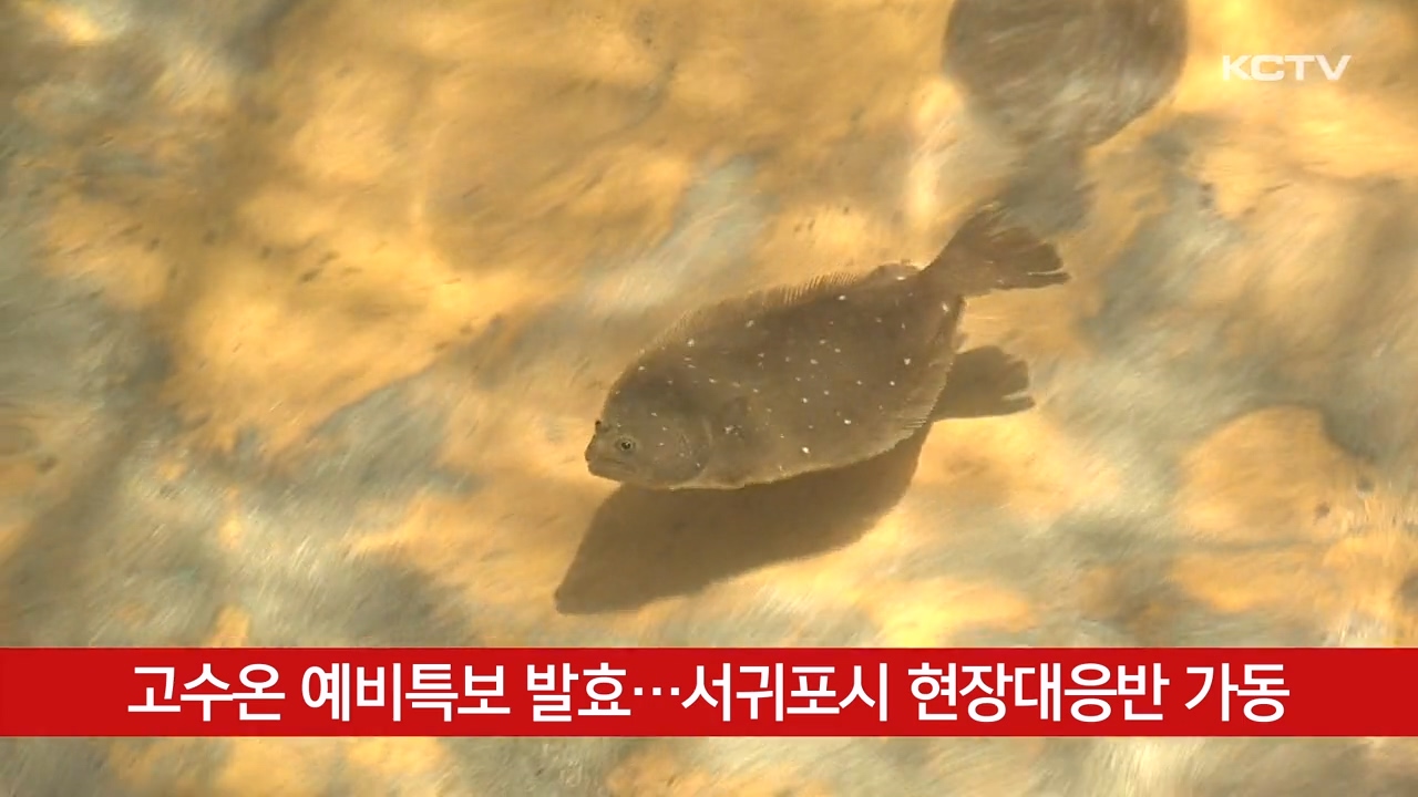 KCTV News7