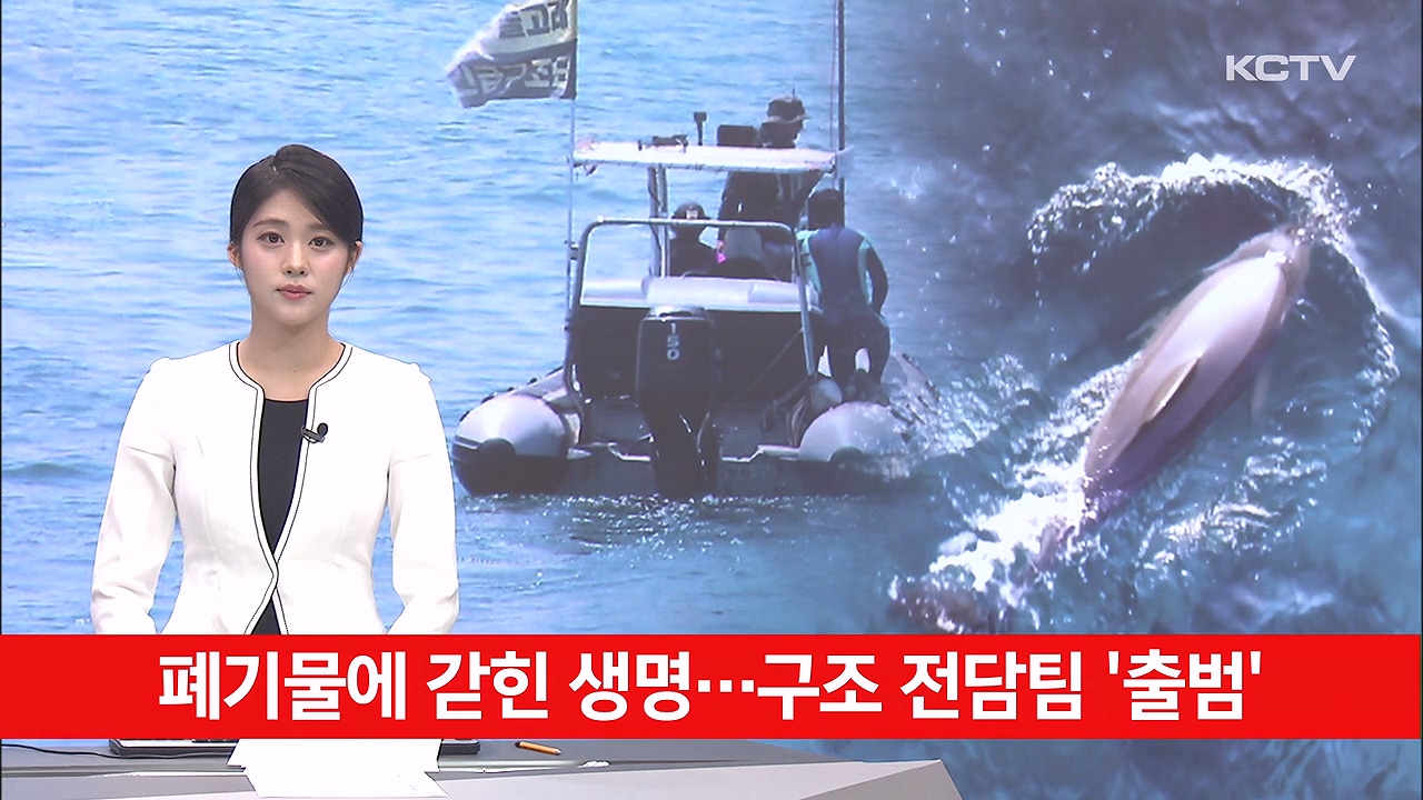 KCTV News7