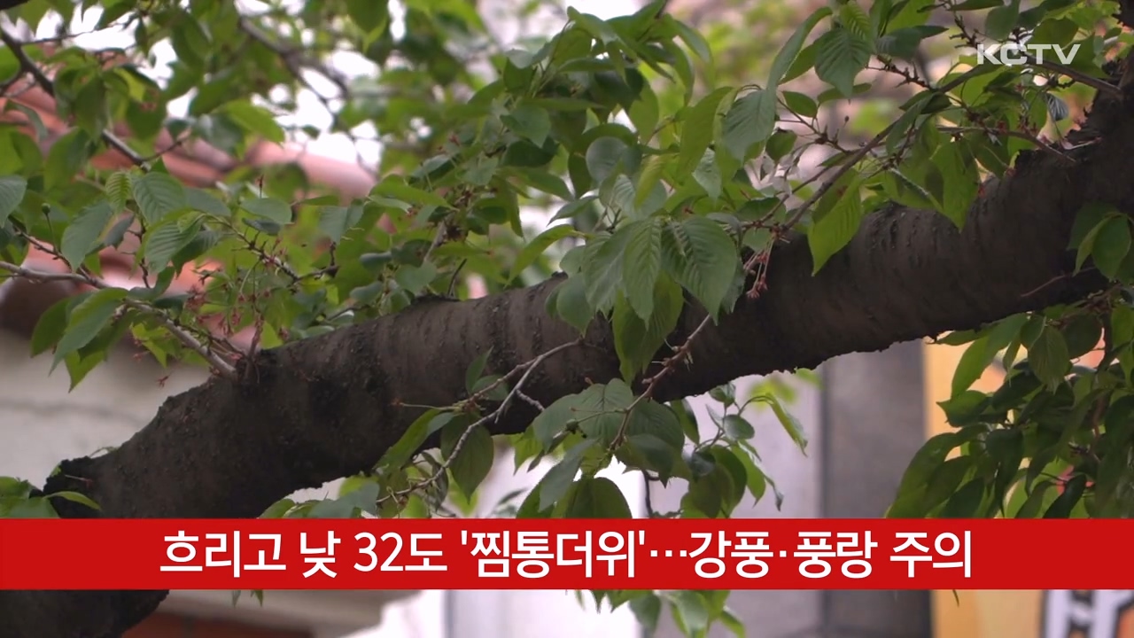 KCTV News7