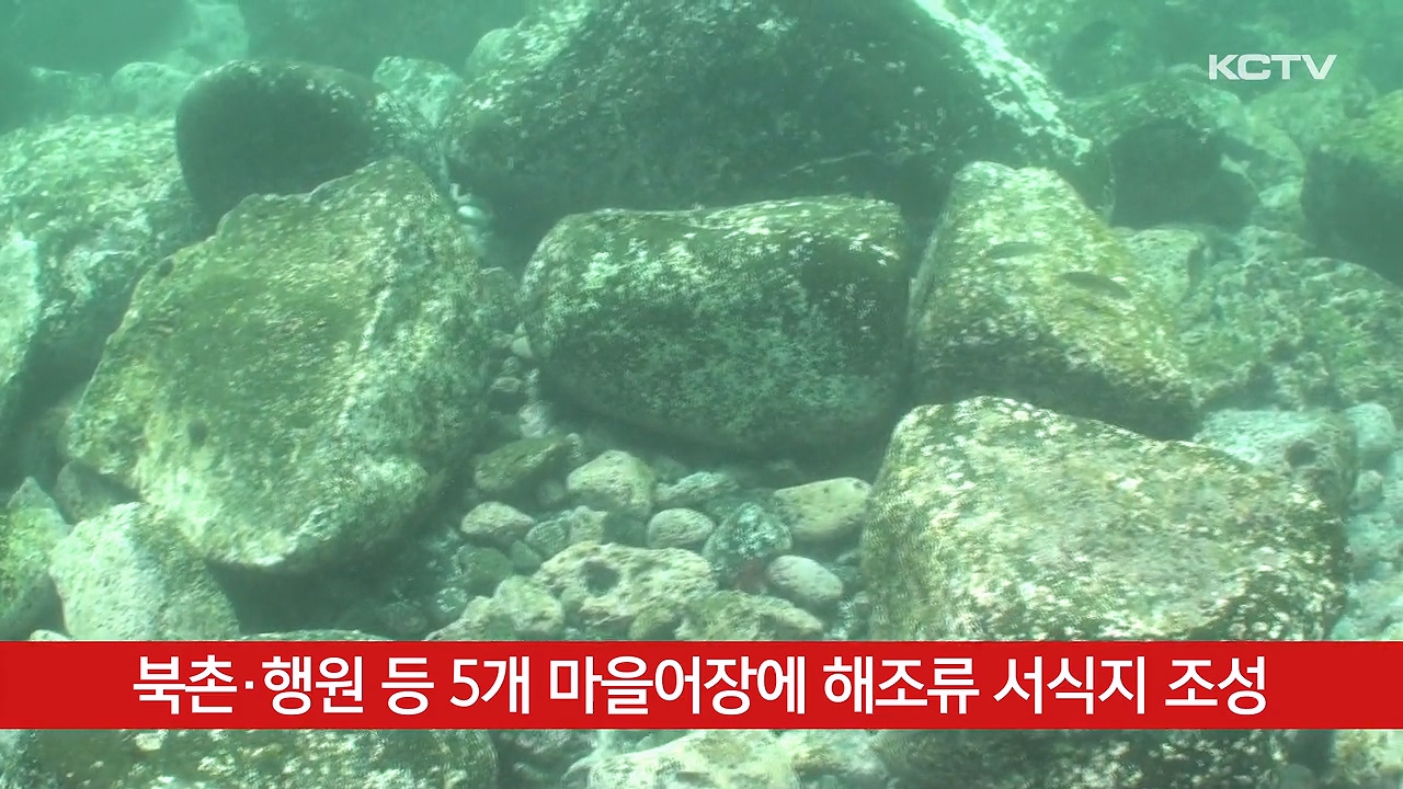 KCTV News7