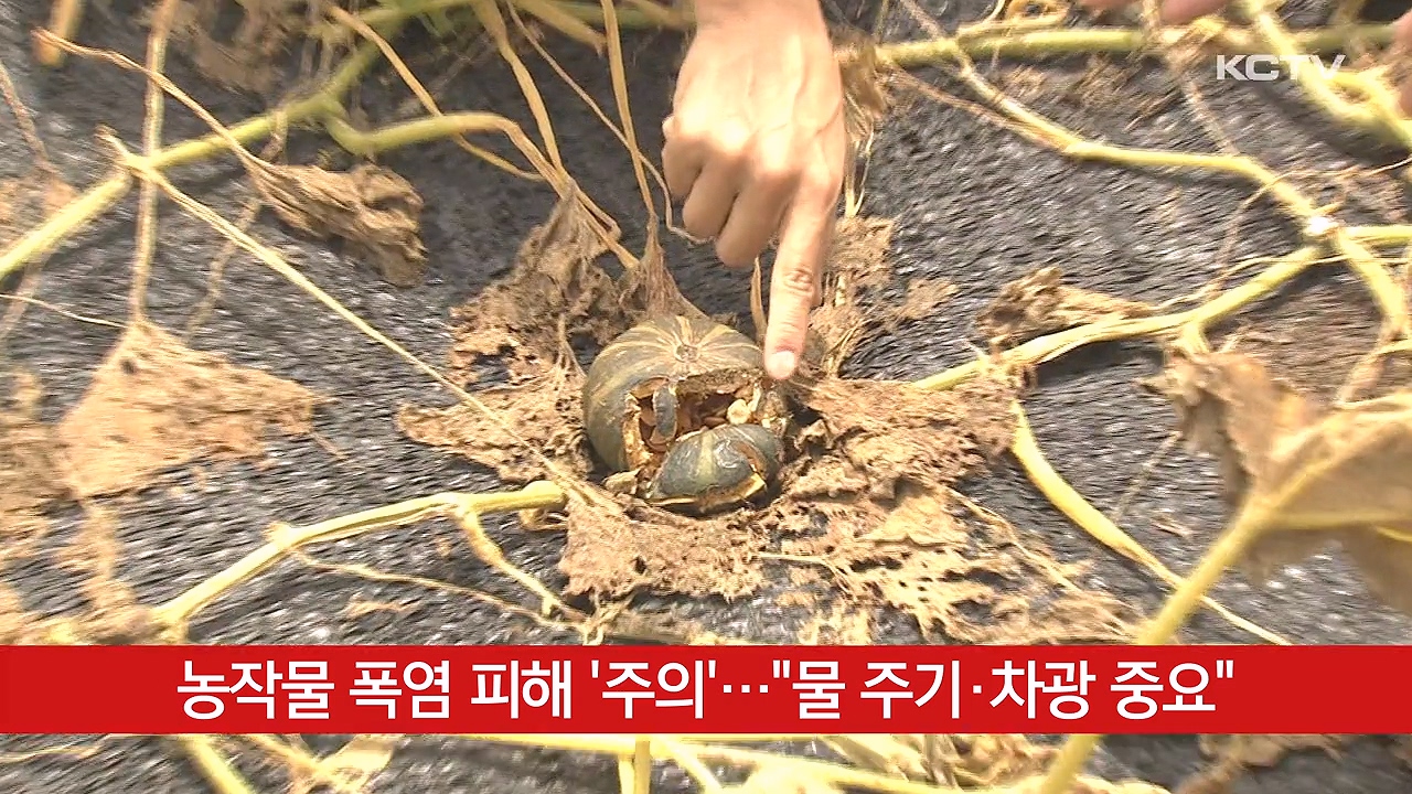 KCTV News7
