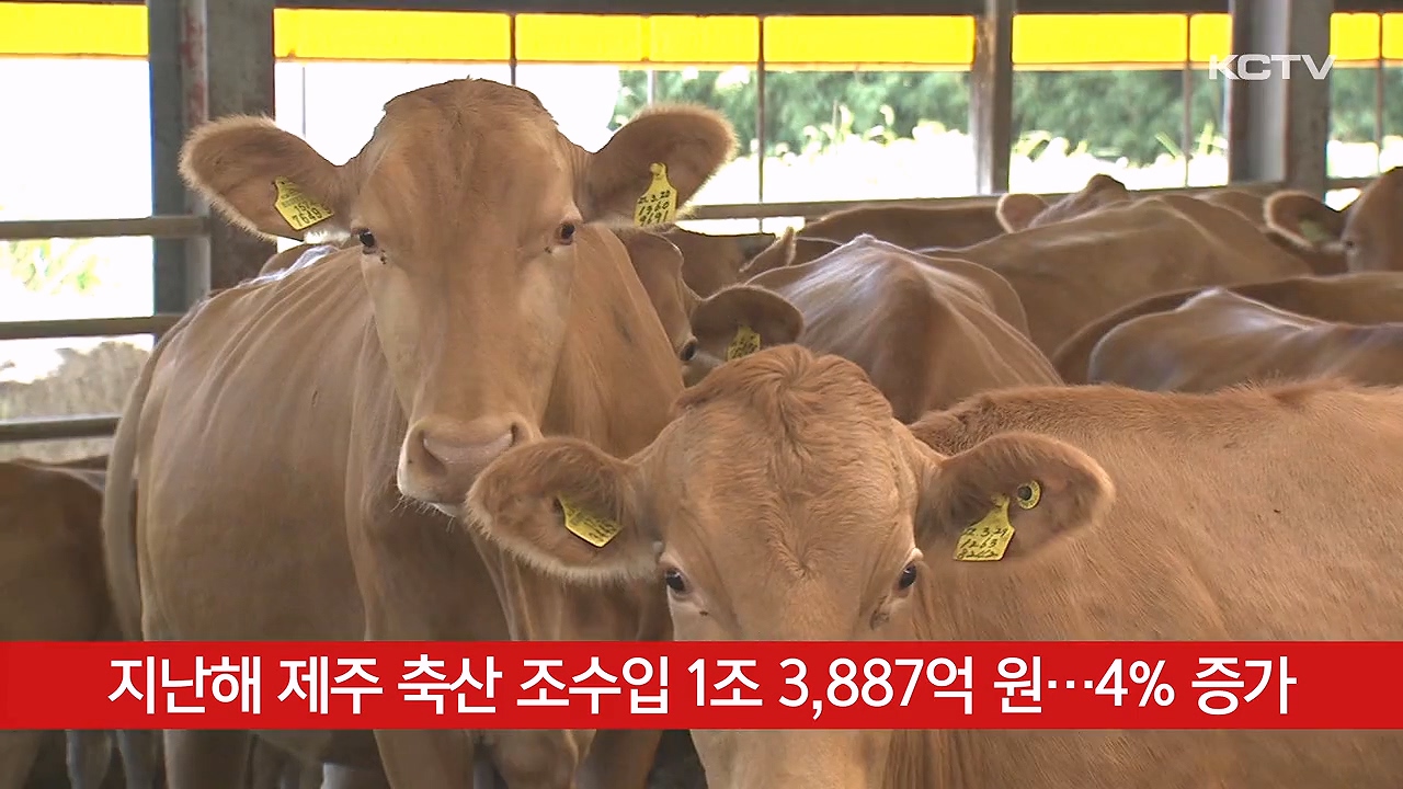 KCTV News7