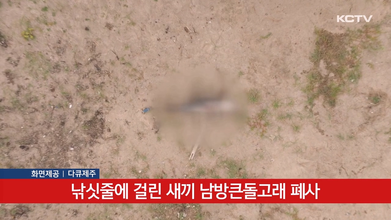 KCTV News7