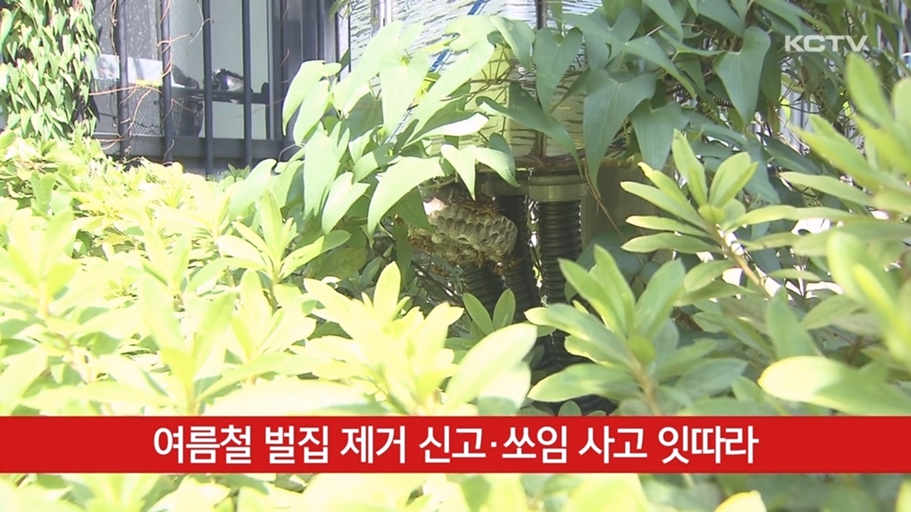 KCTV News7