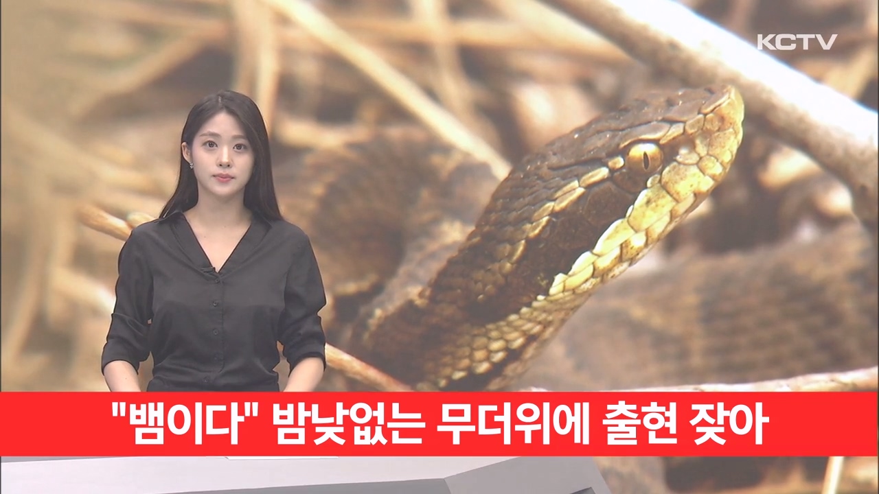 KCTV News7